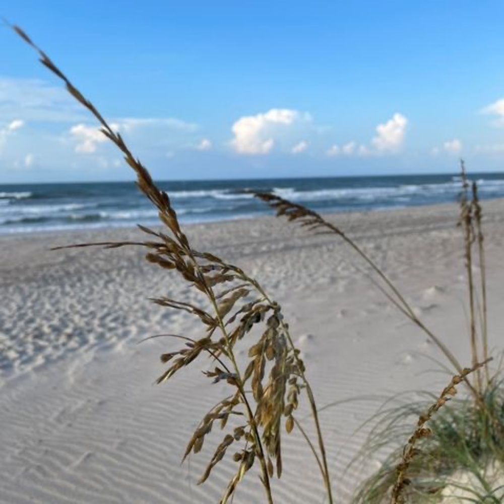 Meet your Posher, Romilda